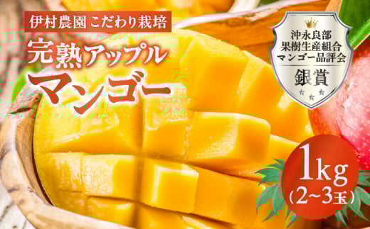 【2026年先行予約】伊村農園こだわり栽培!完熟アップルマンゴー1kg(2~3玉) W026-001u