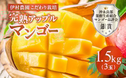 【2026年先行予約】伊村農園こだわり栽培!完熟アップルマンゴー1.5kg(3玉) W026-003u