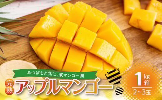 【2026年先行予約】南の島で太陽の日差しをたっぷり浴びた沖永良部産「完熟アップルマンゴー」1kg W014-007u