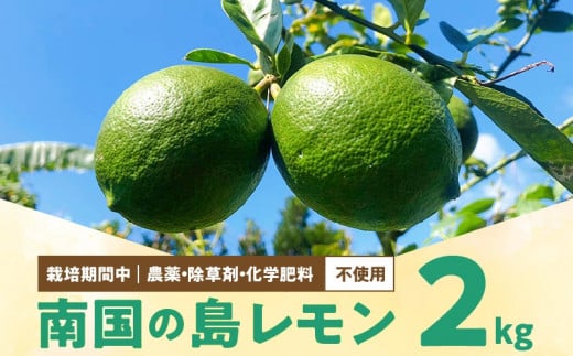 ■【先行受付】栽培期間中 農薬・除草剤・化学肥料不使用!南国の島レモン 2kg!【2025年9月~2026年2月下旬お届け】 W043-003u