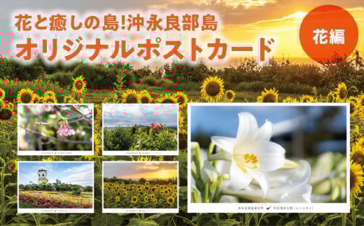 花と癒しの島!沖永良部島オリジナルポストカード(花編) W060-002u
