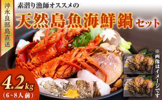 ■沖永良部島直送!素潜り漁師オススメの天然島魚 海鮮鍋セット 4.2kg(6~8人前) W030-014u