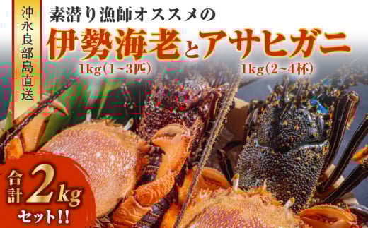 ■沖永良部島直送!素潜り漁師オススメの伊勢海老1kg(1~3匹)とアサヒガニ1kg(2~4杯) 合計2kgセット!! W030-015u