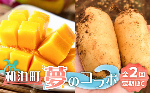 【ふるさと納税】和泊町「夢」のコラボ【2回】定期便C W034-003u