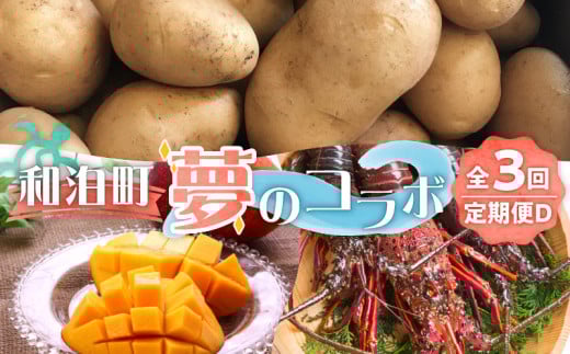 【ふるさと納税】和泊町「夢」のコラボ【3回】定期便D W034-004u