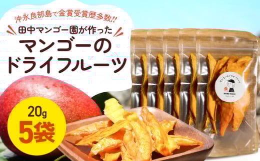 【先行受付】田中マンゴー園が作ったマンゴーのドライフルーツ 20g×5袋 W001-013-01