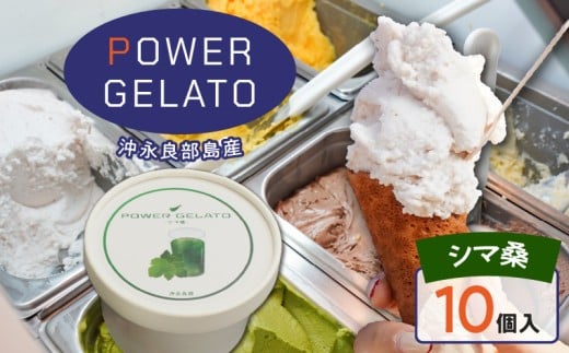 POWER GELATO 沖永良部島産(シマ桑)90ml×10個入り W066-005-02