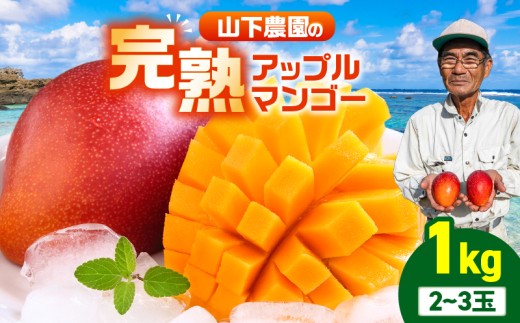 【2026年先行予約】甘い香りの贈り物!山下農園の完熟アップルマンゴー 1kg(2~3玉) W063-003-01