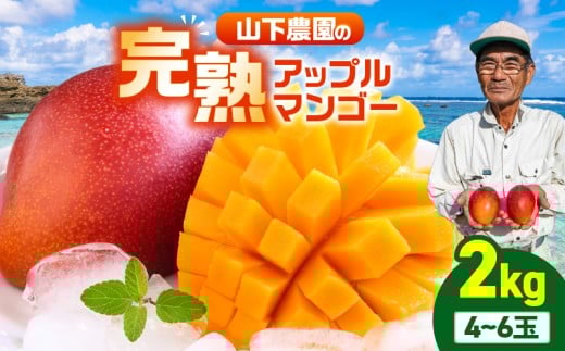 【2026年先行予約】甘い香りの贈り物!山下農園の完熟アップルマンゴー 2kg(4~6玉) W063-003-02