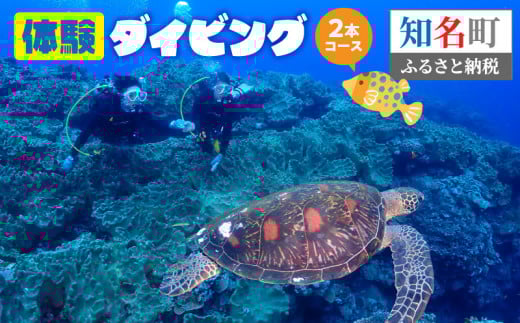 体験ダイビング2本コース C051-006