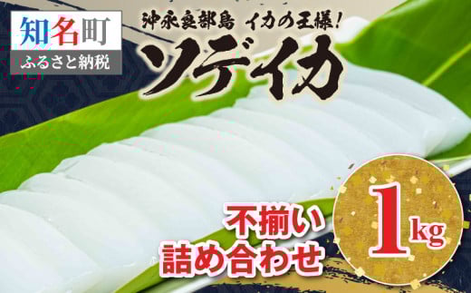 沖永良部島 イカの王様!ソデイカ 1kg C010-023