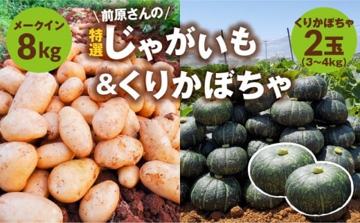 【2026年先行予約】前原さんの特選 じゃがいも メークイン 8kg&くりかぼちゃ 2玉 C062-T05