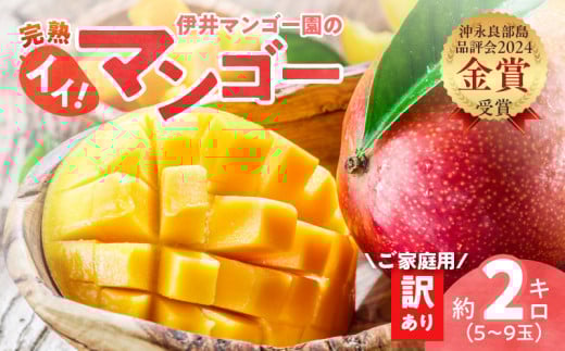 【2026年先行予約】伊井マンゴー園の訳あり完熟マンゴー(ご家庭用)約2キロ(5~9玉) C026-004