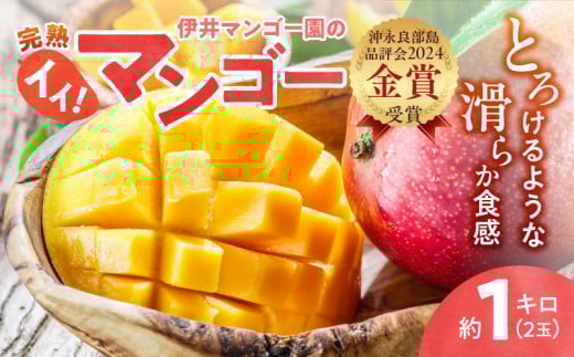 【2026年先行予約】伊井マンゴー園のイイ!マンゴー 約1キロ(2玉) C026-002