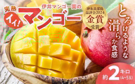 【2026年先行予約】伊井マンゴー園のイイ!マンゴー 約2キロ(4~5玉) C026-003