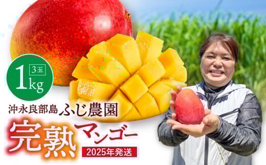 【2026年先行予約】ふじ農園の完熟マンゴー 1kg C031-001