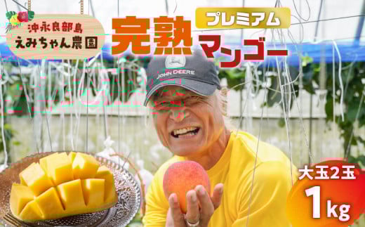 【2026年先行予約】えみちゃん農園のプレミアム完熟マンゴー1キロ（大玉2個入り）　C008-005