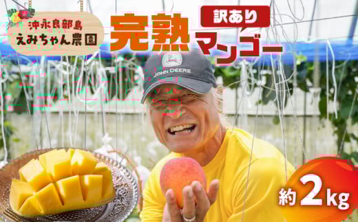 【2026年先行予約】えみちゃん農園の完熟マンゴー約2キロ（訳あり）　C008-007-02