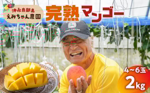 【2026年先行予約】えみちゃん農園の完熟マンゴー2キロ（4～6個入り）　C008-008