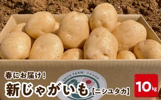 【2026年先行予約】新じゃがいも ニシユタカ 10kg 3月お届け C056-005-02