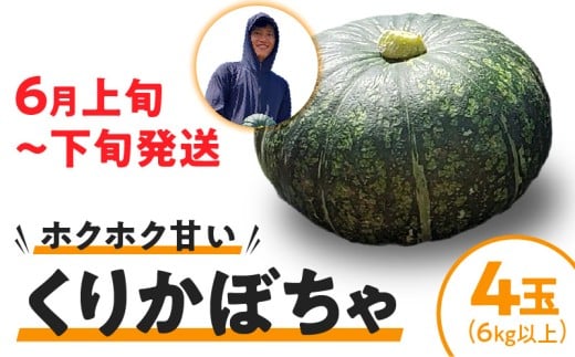 【2026年先行予約】くりかぼちゃ 4玉(6kg以上) C062-003-02