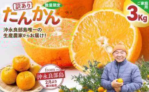 【2026年先行予約】<ご家庭用>訳あり たんかん 3kg(2026年2月より順次発送) C071-001-03
