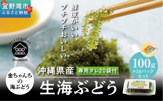 沖縄県産　生海ぶどう　100g×10パックセット
