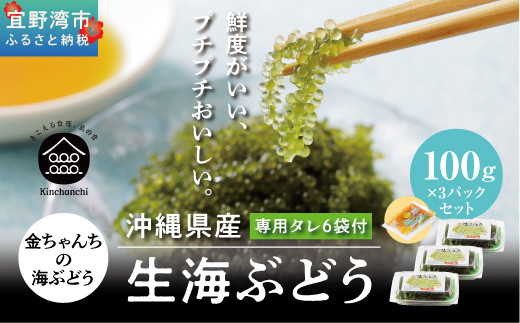 沖縄県産　生海ぶどう　100g×3パックセット