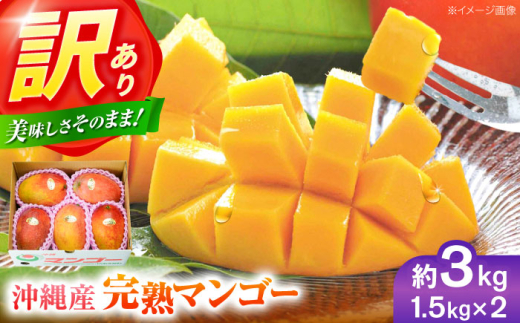 マンゴー 2026 【 2026年発送 先行予約 】訳あり 完熟マンゴー 約3kg (約1.5kg (3〜6玉) ×2箱) マンゴー 2026 訳あり 沖縄 マンゴー 先行予約 濃厚 極甘 甘い 極上 あまい おいしい 大人気 おすすめ ご家庭用 冷蔵 デザート まんごー 果物 フルーツ 果実 冷蔵 くだもの ジューシー 南国 国産 ギフト 沖縄市 / ちゃんぷる～市場 [BCAA003]