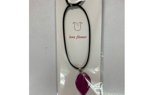 ブーゲン革ひもチョーカー アクセサリー チョーカー ネックレス レディース おしゃれ 沖縄市 / 株式会社東南植物楽園 [BCBY012]