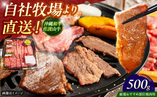 【厳選！おすすめ部位】沖縄和牛 佐渡山牛 焼肉用 500g 牛肉 焼肉 焼き肉 和牛 赤身 沖縄市 / 肉のサブロー 切り落とし すき焼き しゃぶしゃぶ 国産 厳選 部位 食べ比べ ロース バラ プレゼント 鉄板焼き カルビ 人気 贈り物 大人気 炒め物 赤身 モモ 贈答用 贈答品 記念日 内もも 内モモ [BCBC003]▼冷凍配送 年末年始 年末 年越し お正月