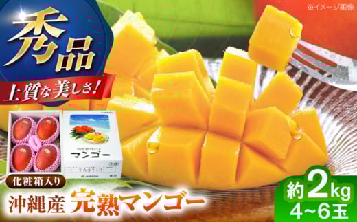 マンゴー 2026 【 2026年発送 先行予約 】完熟マンゴー 約2kg (4〜6玉 / 化粧箱・秀品) マンゴー 沖縄 マンゴー 先行予約 マンゴー 2026 濃厚 極甘 甘い 極上 あまい おいしい 大人気 おすすめ ご家庭用 冷蔵 デザート まんごー 果物 フルーツ 果実 冷蔵 くだもの ジューシー 南国 国産 ギフト 沖縄市 / ちゃんぷる～市場 [BCAA004]