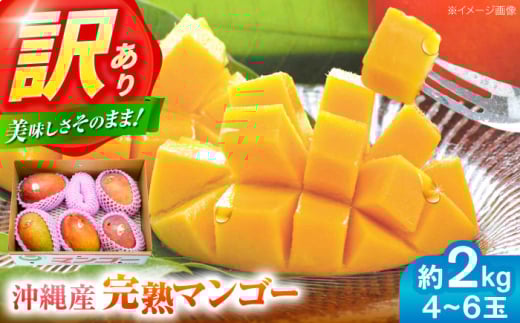 マンゴー 2026 【 2026年発送 先行予約 】訳あり 完熟マンゴー 約2kg (4〜6玉入) まんごー 2026 訳あり 沖縄 マンゴー 先行予約 濃厚 極甘 甘い 極上 あまい おいしい 大人気 おすすめ ご家庭用 冷蔵 デザート まんごー 果物 フルーツ 果実 冷蔵 くだもの ジューシー 南国 国産 ギフト 沖縄市 / ちゃんぷる～市場 [BCAA002]