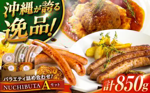 『NUCHIBUTA Aセット』 豚肉 ハンバーグ ソーセージ 詰め合わせ お取り寄せ 国産 ギフト 冷凍 沖縄市 / DELICATESSEN NUCHIBUTA [BCAR003]▼ 加工品 セット・詰め合わせ ハム 手作り 年末年始 年末 年越し お正月