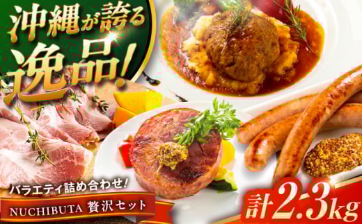 『NUCHIBUTA 贅沢セット』 豚肉 ハンバーグ ソーセージ ハム 詰め合わせ お取り寄せ 国産 ギフト 冷凍 沖縄市 / DELICATESSEN NUCHIBUTA [BCAR008]▼ 加工品 セット・詰め合わせ 手作り 年末年始 年末 年越し お正月