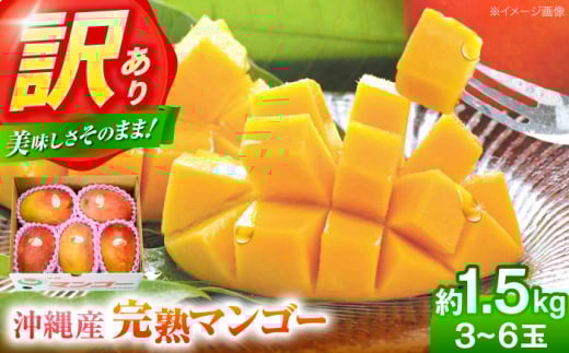 マンゴー 2026 【 2026年発送 先行予約 】訳あり 完熟マンゴー 約1.5kg (3〜6玉入) まんごー 2026 訳あり 沖縄  先行予約 濃厚 極甘 甘い 極上 あまい おいしい 大人気 おすすめ ご家庭用 冷蔵 デザート まんごー 果物 フルーツ 果実 冷蔵 くだもの ジューシー 南国 国産 ギフト 沖縄市 / ちゃんぷる～市場 [BCAA001]