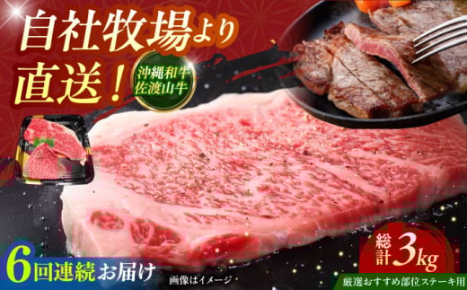 【全6回定期便】【厳選！おすすめ部位】沖縄和牛 佐渡山牛 ステーキ肉 500g ステーキ 牛肉 和牛 焼肉 赤身 沖縄市 / 肉のサブロー [BCBC006]