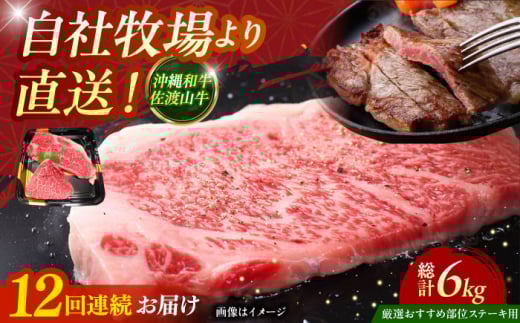 【全12回定期便】【厳選！おすすめ部位】沖縄和牛 佐渡山牛 ステーキ肉 500g ステーキ 牛肉 和牛 焼肉 赤身 沖縄市 / 肉のサブロー [BCBC007]