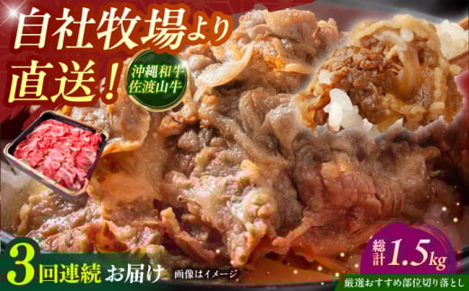 【全3回定期便】【厳選！おすすめ部位】沖縄和牛 佐渡山牛 切り落とし 500g 牛肉 焼肉 焼き肉 和牛 赤身 沖縄市 / 肉のサブロー [BCBC008]