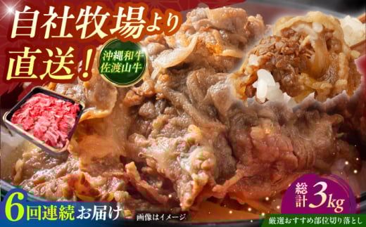 【全6回定期便】【厳選！おすすめ部位】沖縄和牛 佐渡山牛 切り落とし 500g 牛肉 焼肉 焼き肉 和牛 赤身 沖縄市 / 肉のサブロー [BCBC009]