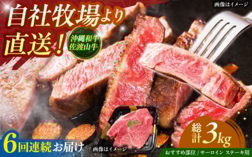 【全6回定期便】【数量限定】沖縄和牛 佐渡山牛 サーロイン＆希少部位 ステーキ肉 500g 牛肉 和牛 サーロインステーキ 焼肉 赤身 沖縄市 / 肉のサブロー [BCBC015]