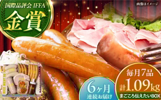 【全6回定期便】TESIOの自家製ハム＆ソーセージ 『まごころ伝えたいBOX』 豚肉 ハム ソーセージ 小分け 真空パック 沖縄市 / TESIO [BCAD014]