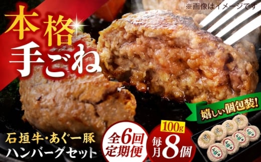 【全6回定期便】沖縄県産 あぐー豚＆石垣牛 ハンバーグセット 800g (100g×8個) 豚 牛 ハンバーグ 冷凍 ギフト お取り寄せ 沖縄市 / お肉屋本店 [BCAZ016]