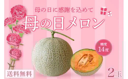 ★品切れ★母の日ギフト 母の日メロン【大玉２玉】｜沖縄県宮古島産