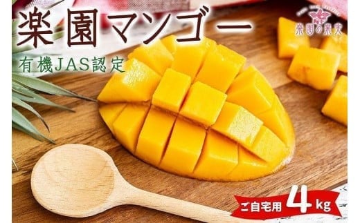DQ019《先行予約》2026年発送 有機JAS認証マンゴー（アーウィン）ご自宅用 4kg【楽園の果実】
