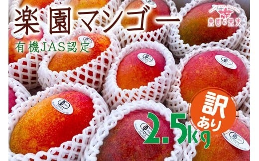 DQ021《先行予約》2026年発送 有機JAS認証マンゴー（アーウィン）わけあり 2.5kg【楽園の果実】