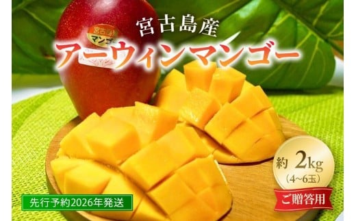 《先行予約2026年発送》『天使のマンゴー』宮古島産アーウィンマンゴー 2kg（4〜6玉）【ご贈答用】「LA MANGUE BLEUE」農家直送（GZ006）