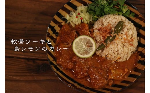 MOSESU CURRYの島カレーシリーズ　軟骨ソーキと島レモンのカレー 250g（6食入り）