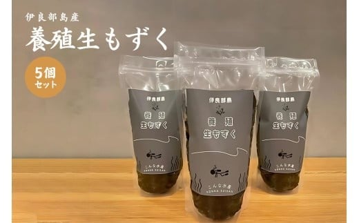 養殖もずく 5個セット(FU002)沖縄 宮古島 ふるさと納税 おすすめ 人気 もずく モズク 海藻 ミネラル 海 食