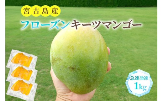 フローズンキーツマンゴー 《急速冷凍》1ｋｇ（FU009）